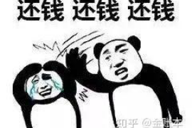 催收打政府沟通话术:高效沟通的艺术 催收打政府沟通话术:高效沟通的艺术