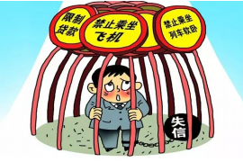 保护催收的权益：平衡债权人与债务人利益的探讨