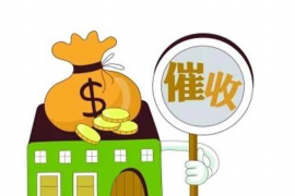 给银行打电话投诉催收：如何有效维护个人权益